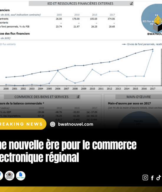 Transformation numérique et croissance du commerce en ligne régional.