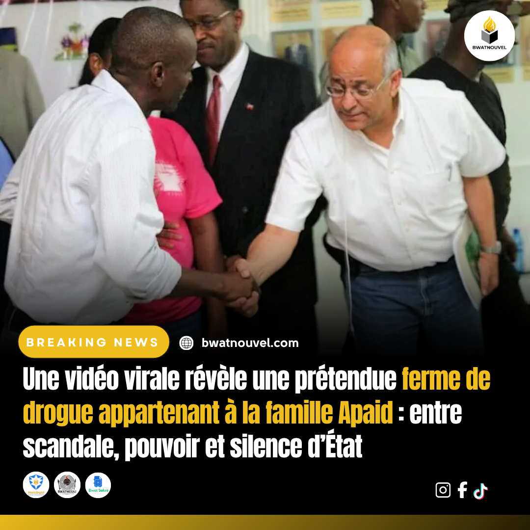 Famille Apaid au cœur d’une vidéo virale sur une ferme de drogue.