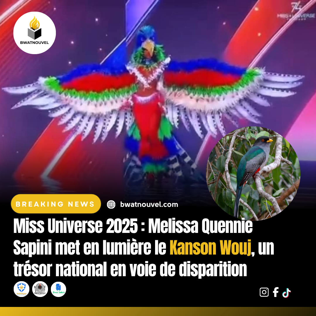 Kanson Wouj mis en lumière par Melissa Sapini.