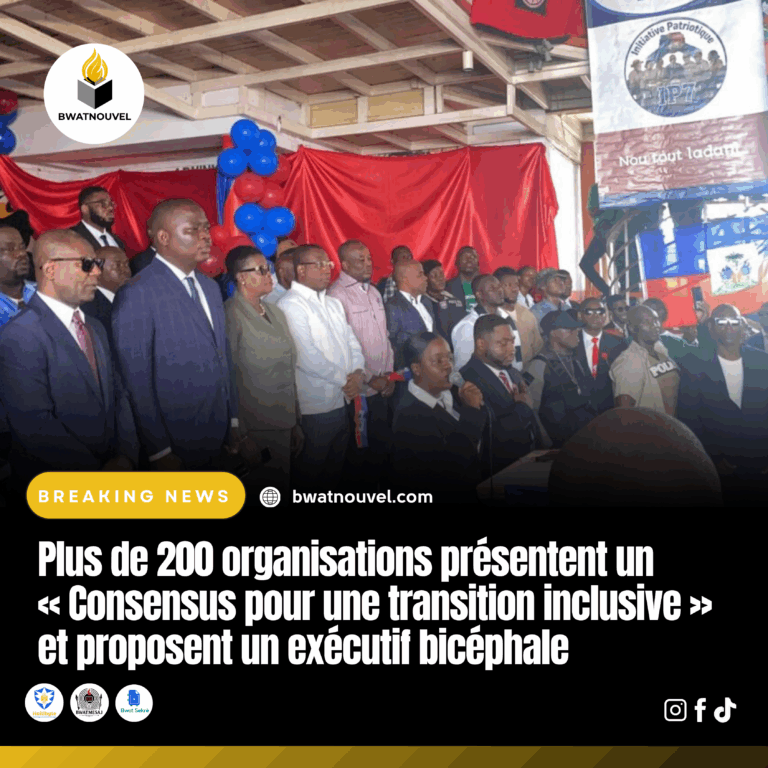 Transition inclusive : propositions d’un exécutif bicéphale.